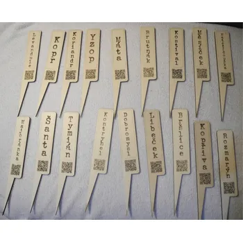 Zahradní dekorace Zápich s QR víc variant Jméno byliny: Koriandr