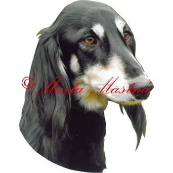 Samolepka perský chrt saluki, archiv 447