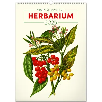 Kalendář Notique Nástěnný kalendář Vintage plakáty, herbář 2025