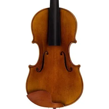 Smyčcový nástroj Rudolph Conservatoire RV-5044-GU, Housle 4/4