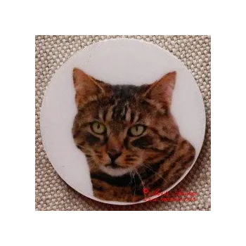 Kočka evropská magnet nebo placka - Klips + špendlík