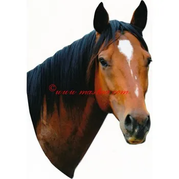 Samolepka anglický plnokrevník Amigo, kůň , koně ot