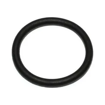 Těsnění motoru Těsnicí kroužek ELRING 163.480