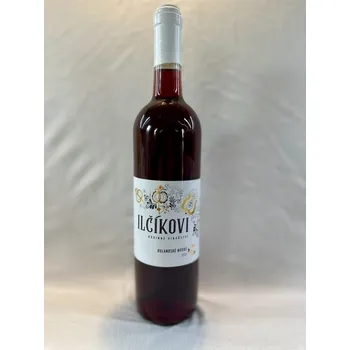 Víno Rulandské modré 2022, moravské zemské víno, Rodinné vinařství Ilčíkovi, suché