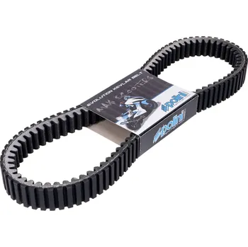 Motodíl Polini Řemen variátoru Forza / Sh 350 248.134