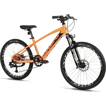 Dětské kolo Leader Fox CAPITAN CHLAPECKÝ, MTB 24", M:2025-4 (ZDARMA Doprava + Dárek)