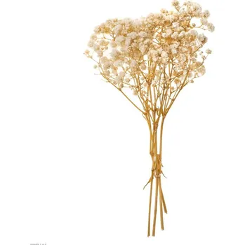 umělá květina DP Craft Stabilizovaný Šater, nevěstin závoj (gypsophila) 20cm