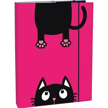 desky na sešit Box na sešity A5 Crazy Kitten