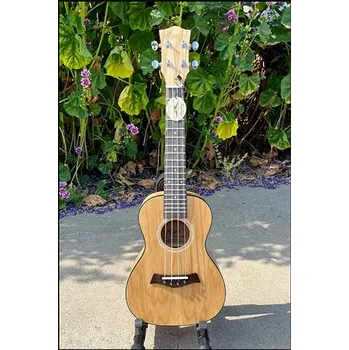 Ukulele AIERSI SU024AD - koncertní ukulele