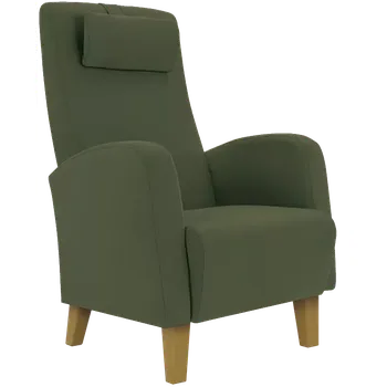 Křeslo DUBLIN, křeslo, moření přírodní, látka zelená