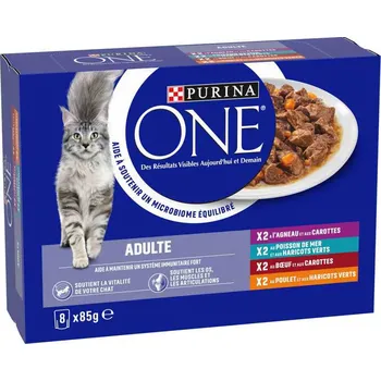 Výhodné balení 2x8ks-16x85g Purina ONE ADULT Mix (4 druhy) kapsičky pro kočky