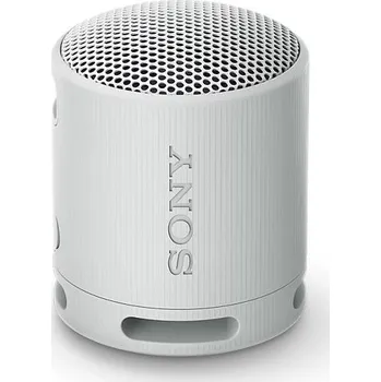 Bluetooth reproduktor Sony SRS-XB100 Grey