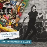 Ondřej Fencl a Hromosvod: Sen nenasytných kluků - CD