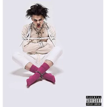 Hudba Yungblud: 21st Century Liability - Vinyl (LP)