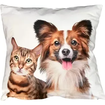 Polštář Fotonávlek, Kočička a pejsek