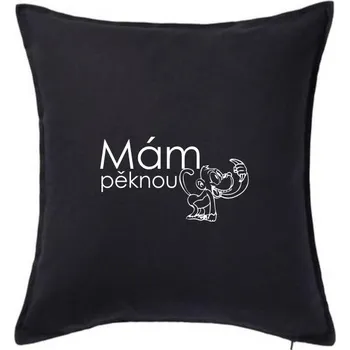 Polštář Mám pěknou vopici - Polštář 50x50 - 50x50 - Pouze potah ( Černá )