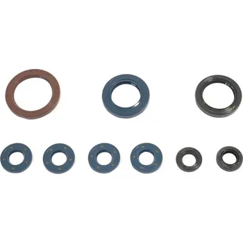 Těsnění pro motocykl Sada gufer motoru ATHENA KTM 250 SX-F rok 13-15