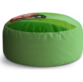 Sedací pytel Kulatý taburet Circle Beruška na listě: 38x48 cm - Sablio