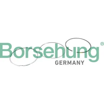 Píst motoru Sada pístních kroužků BORSEHUNG B10364