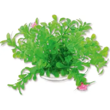 Akvarijní rostlina Umělá akvarijní rostlina - Happet 1F18