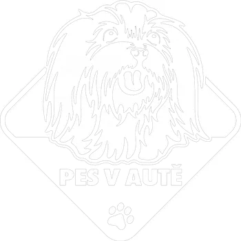 Samolepicí dekorace na vozidlo Pes v autě Maltezáček 2 samolepka na auto - černá / 15x15 cm