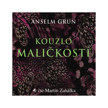 Kouzlo maličkostí MP3 download