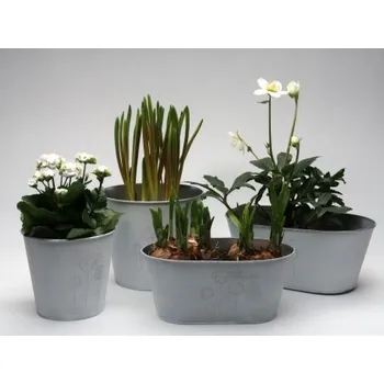 Plechové květináče s pampeliškou 11,5 cm bílá patina