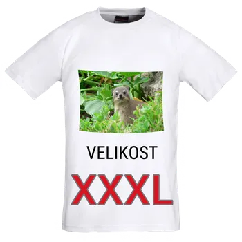 Dámské tričko Bílé FotoTričko dámské - velikost XXXL Potisk vpředu