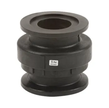 Příslušenství k čerpadlu Zpětná klapka 2"