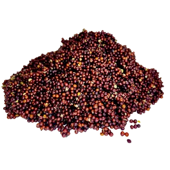 Návnadová surovina LK Baits Řepka Vařená 1kg