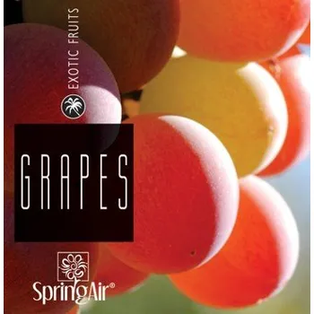 Vůně do bytu Náplň do velkoprostorového osvěžovače Spring Air (IconoScent, ArtyScent) - GRAPES (500ml)