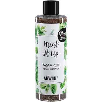 Šampon Anwen Mint It Up exfoliační šampon na vlasy, 200 ml