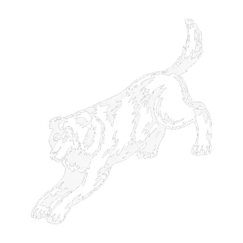 Polep vozidla SAMOLEPKA Pes 044 levá (09 - bílá) NA AUTO, NÁLEPKA, FÓLIE, POLEP, TUNING, VLASTNÍ TEXT, TISK, AUTOSAMOLEPKY.cz, POLEPY, OBRÁZEK, LOGO, SAMOLEPKY