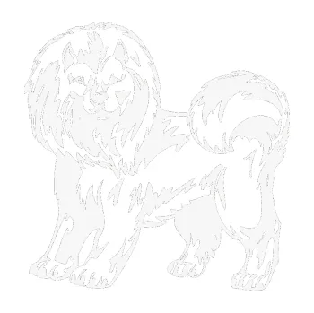 Polep vozidla SAMOLEPKA Pes 029 levá (09 - bílá) NA AUTO, NÁLEPKA, FÓLIE, POLEP, TUNING, VLASTNÍ TEXT, TISK, AUTOSAMOLEPKY.cz, POLEPY, OBRÁZEK, LOGO, SAMOLEPKY