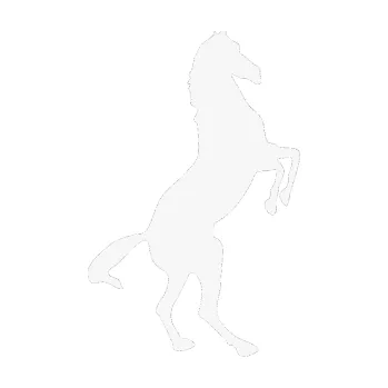 Samolepící dekorace SAMOLEPKA Kůň 013 pravá na zadních (09 - bílá) NA AUTO, NÁLEPKA, FÓLIE, POLEP, TUNING, VLASTNÍ TEXT, TISK, AUTOSAMOLEPKY.cz, POLEPY, OBRÁZEK, LOGO, SAMOLEPKY