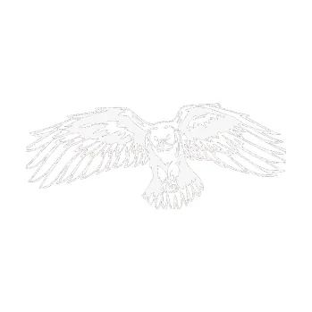 Samolepicí dekorace na vozidlo Predators 077 levá sova (09 - bílá) SAMOLEPKA NA AUTO, NÁLEPKA, FÓLIE, POLEP, TUNING, VLASTNÍ TEXT, TISK, AUTOSAMOLEPKY.cz, POLEPY, OBRÁZEK, LOGO, 3D STICKERS