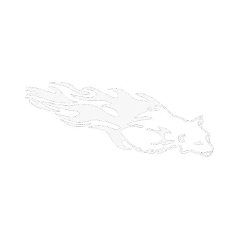 Samolepicí dekorace na vozidlo Animal flames 059 pravá puma (09 - bílá) SAMOLEPKA NA AUTO, NÁLEPKA, FÓLIE, POLEP, TUNING, VLASTNÍ TEXT, TISK, AUTOSAMOLEPKY.cz, POLEPY, OBRÁZEK, LOGO, 3D STICKERS