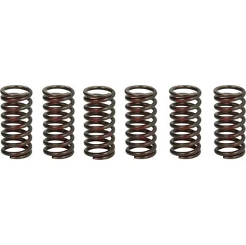 Spojkové pružiny TRW Lucas KTM Freeride 250 R rok 14-17