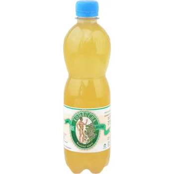 Limonáda Stevikom Kombucha hloh 500 ml