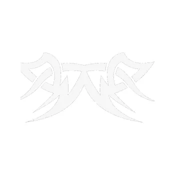 Polep vozidla Tetování 064 (09 - bílá) SAMOLEPKA NA AUTO, NÁLEPKA, FÓLIE, POLEP, TUNING, VLASTNÍ TEXT, TISK, AUTOSAMOLEPKY.cz, POLEPY, OBRÁZEK, LOGO, 3D STICKERS