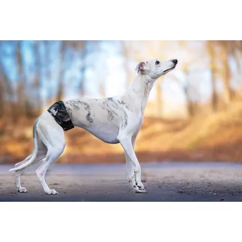 Obleček pro psa Vsepropejska Hans protiznačkovací pás pro psa Barva: Zelená, Obvod slabin (cm): 35 - 42