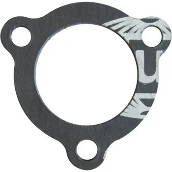 Příslušenství pro přípravu kávy Těsnění topného tělesa kávovaru GAGGIA