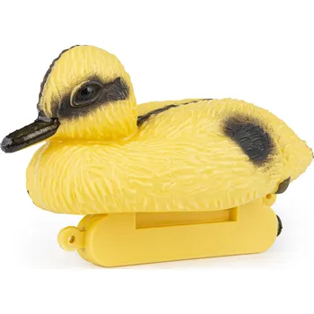 Happet Kachna - Mládě