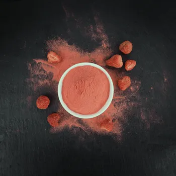 Ovoce Lyopotraviny s.r.o. LYOFILIZOVANÝ PRÁŠEK - JAHODA 25g