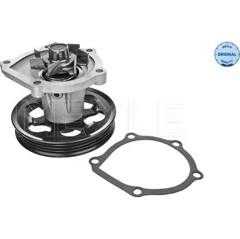 Motor automobilu Vodní čerpadlo, chlazení motoru MEYLE 30-13 161 0010