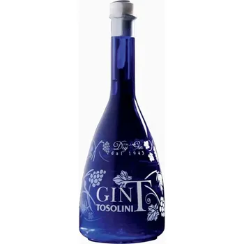 Gin GIN tosolini 43% 0,7l (holá láhev)