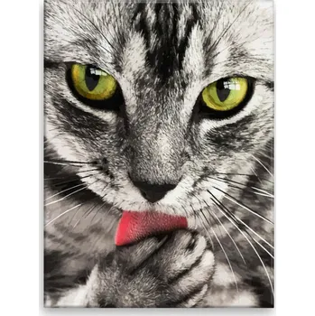 Obraz Obraz na plátně - Černobílá kočka - 30x40 cm - CZ výroba