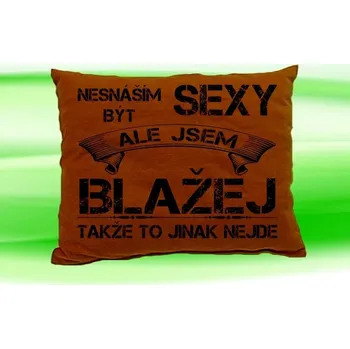 Dekorativní polštářek Polštář se jménem BLAŽEJ (Polštářek nesnáším být sexy )