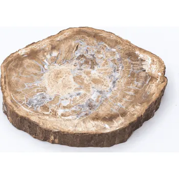 Přírodní kámen Milujeme Kameny Zkamenělé dřevo - zkamenělina ZD24 407595