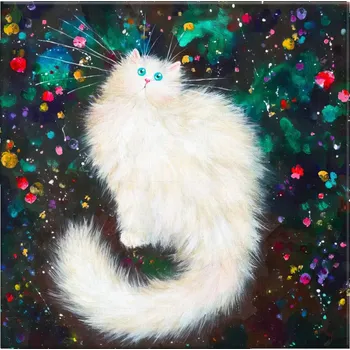 Obraz Obraz na plátně - Bílá chlupatá kočka ve hvězdách - 40x40 cm - CZ výroba